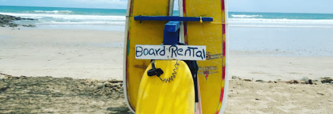 bayer Surf School