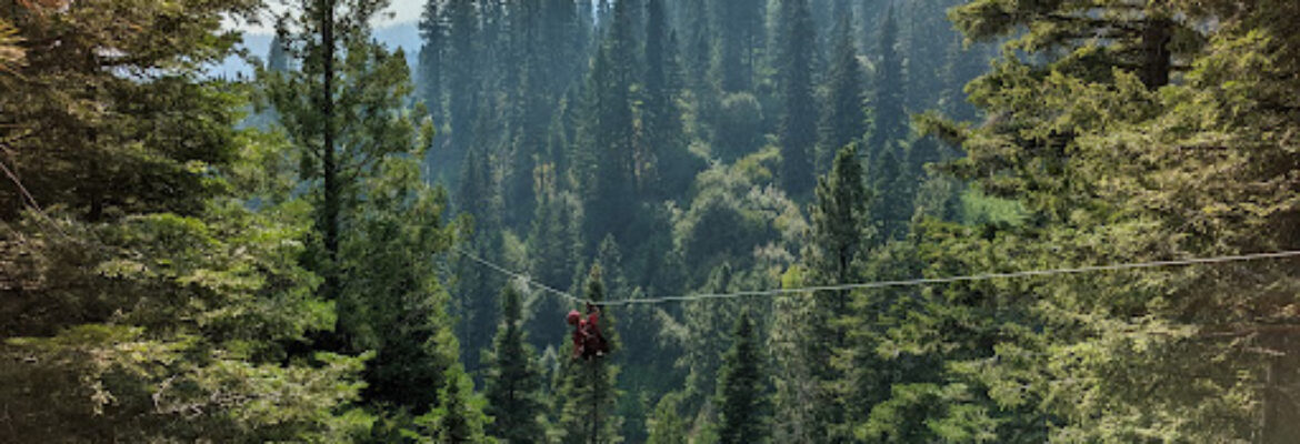 Tamarack Zipline Tours