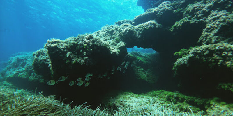 M.E. First Class Divers