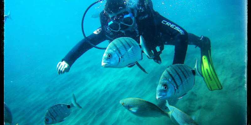 Canary Diving Adventures