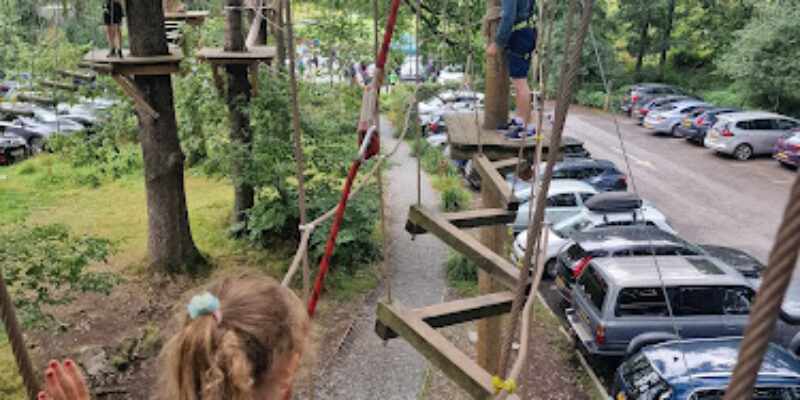 Treetop Trek Windermere