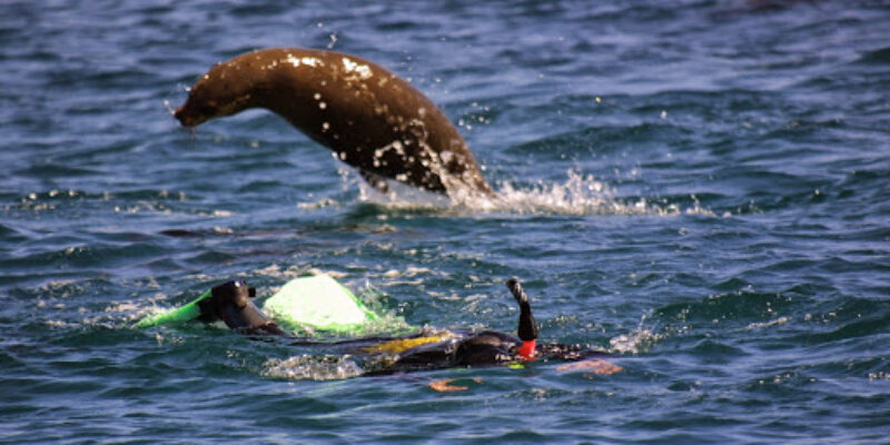 Island Charters Narooma