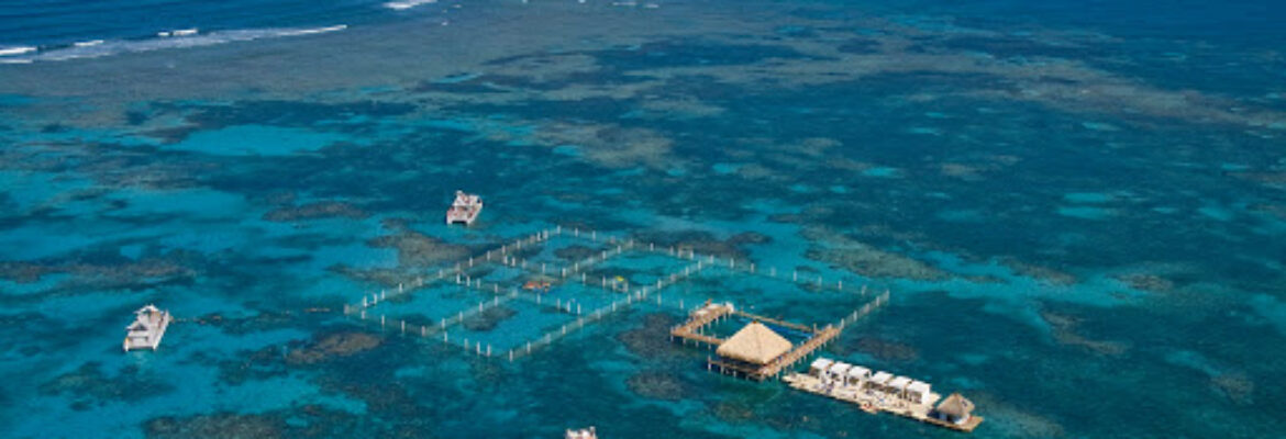 Marinarium Excursions Snorkeling Cruise