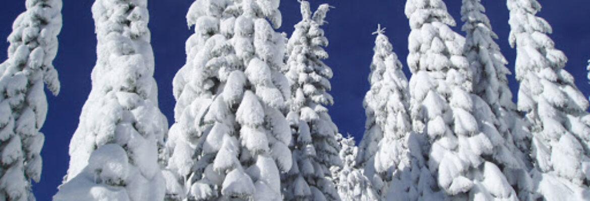 Mt. Ashland Ski Area