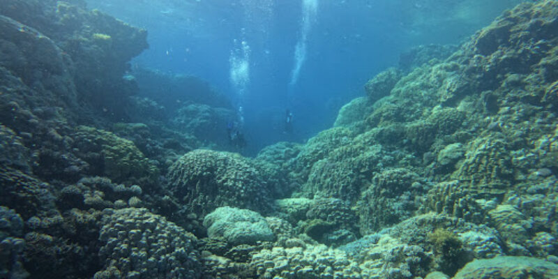 Red Sea Diving Safari – Wadi Lahami Village