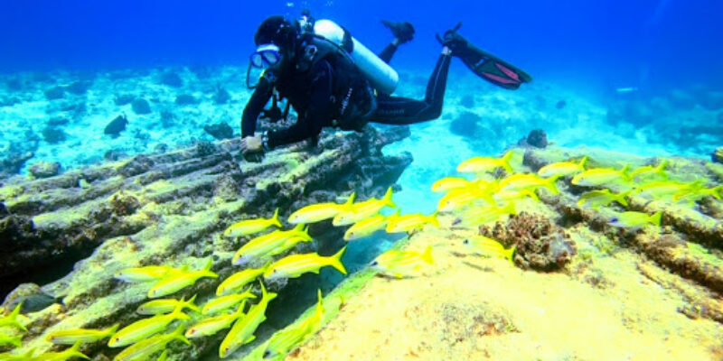 Bangaram Dive Center