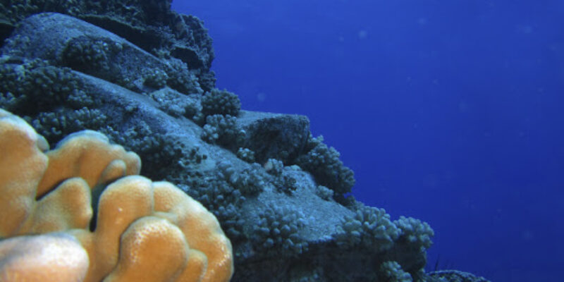 Rapanui Dive Center