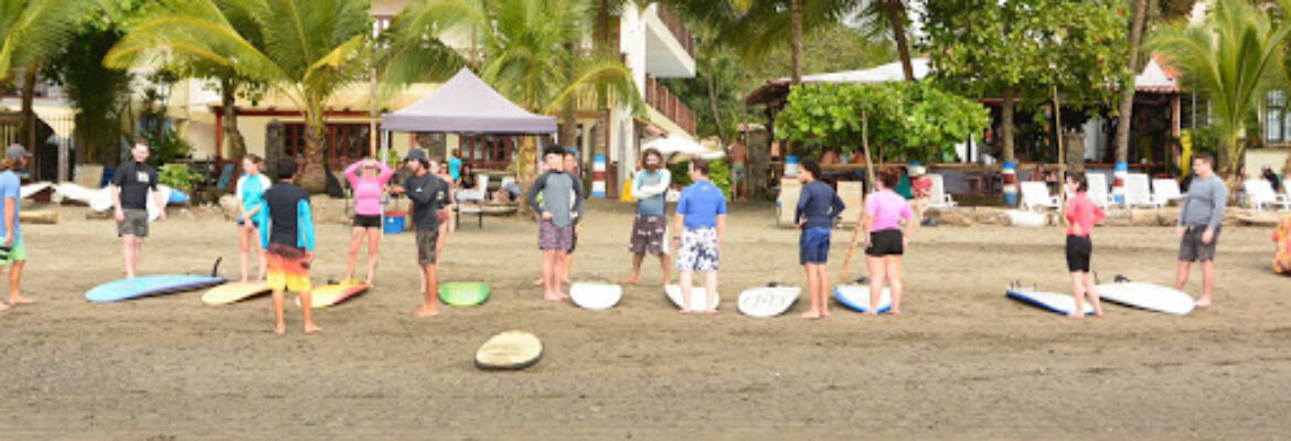 Sunrise Surf School
