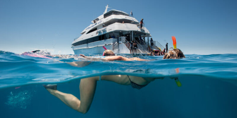 Down Under Dive