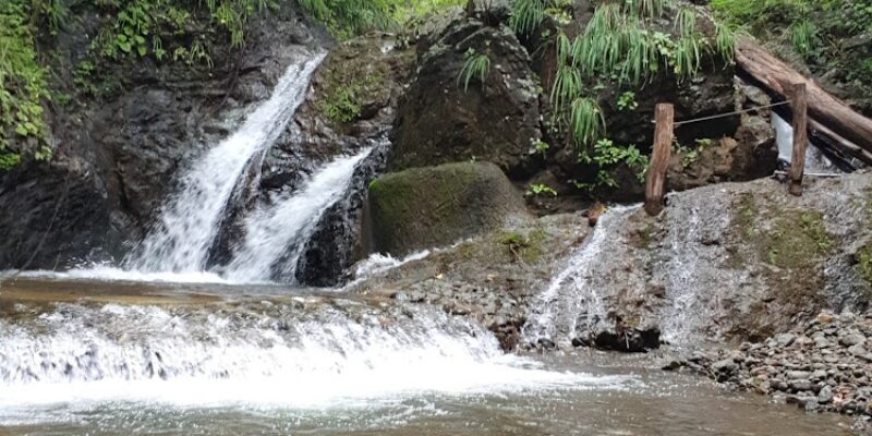 CAÑAS JUNGLE ADVENTURE – Canopy Zipline