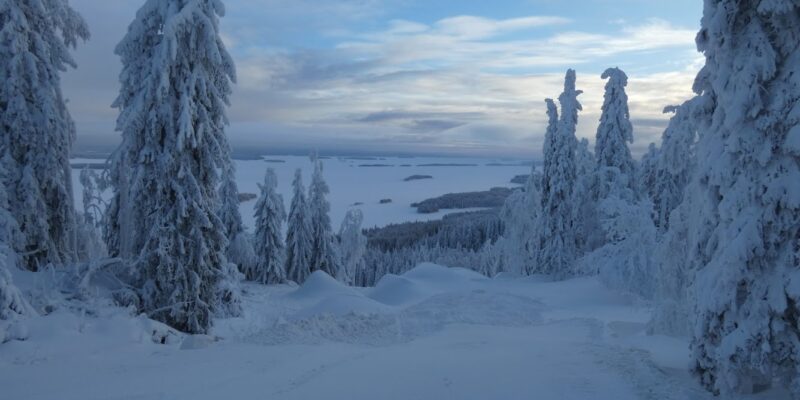 Koli Ski – Ukko-Kolin rinteet
