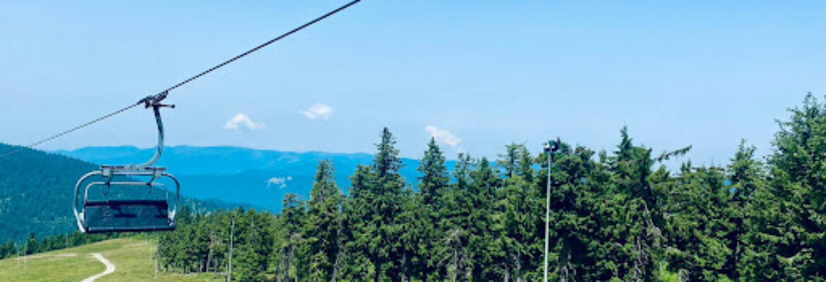 Pârtia Piatra GrÄƒitoare Vartop Bihor