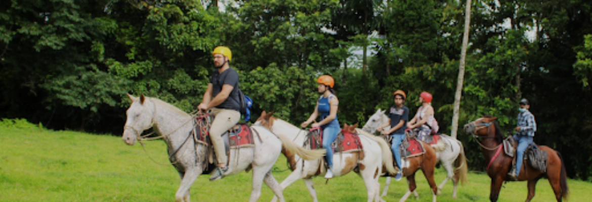 Horseback Riding Arenal by Cabalgata La Yolanda