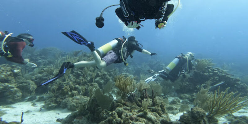 Sunchaser Scuba, Ltd.