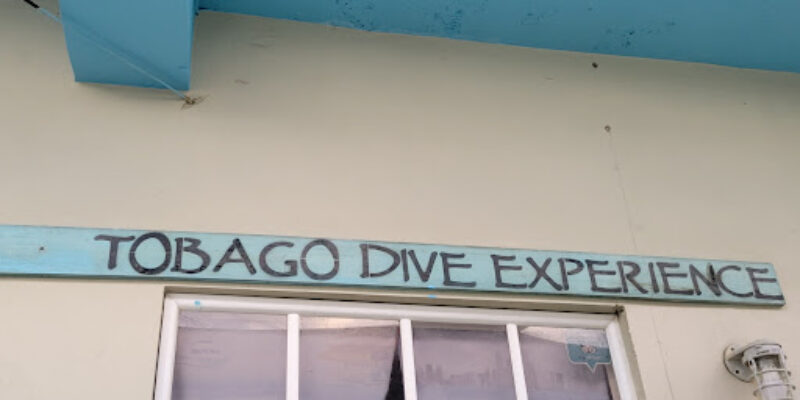 Tobago Dive Experience