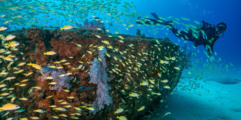 Orca Dive Club Mauritius