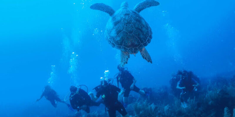 Aquatech Diving Centre