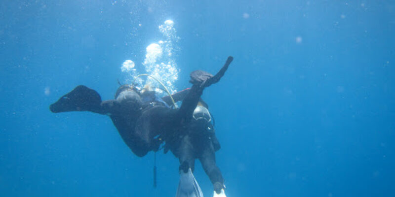 Eurodive Diving Center, Dalyan
