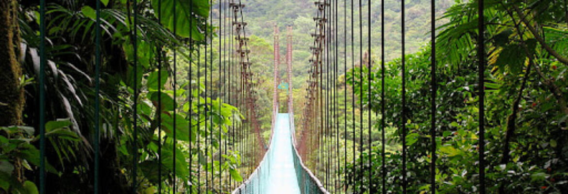 Monteverde Tours