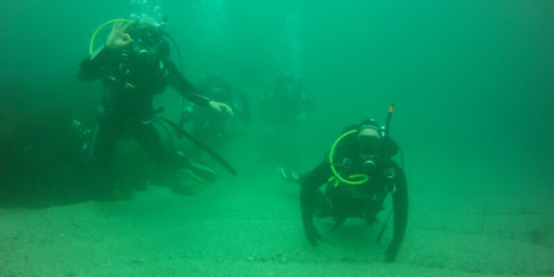 Dive Mania