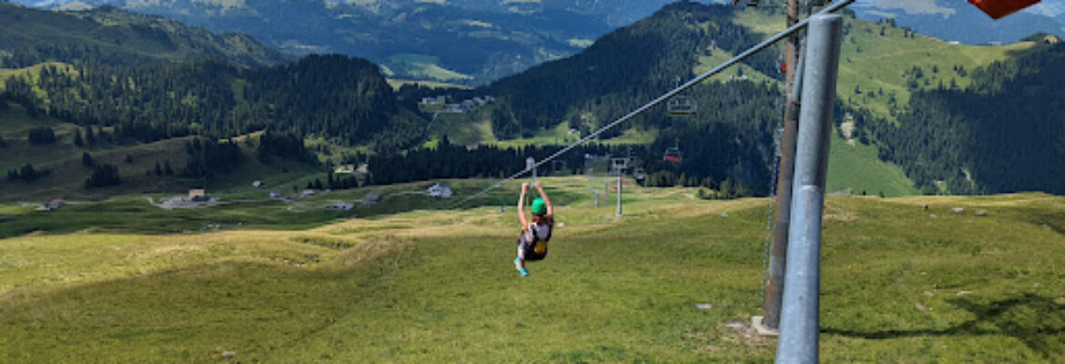 Sternensauser Seilrutsche
