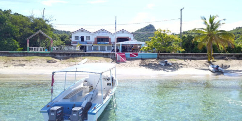 Dive Carriacou