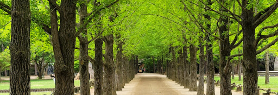 Nami Island