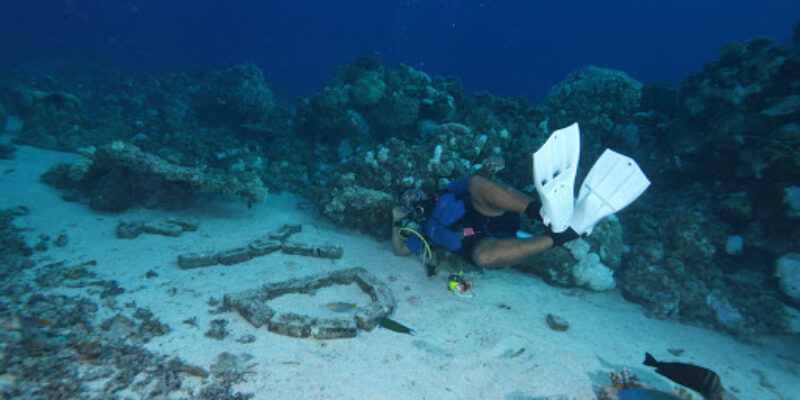 Arab Diver