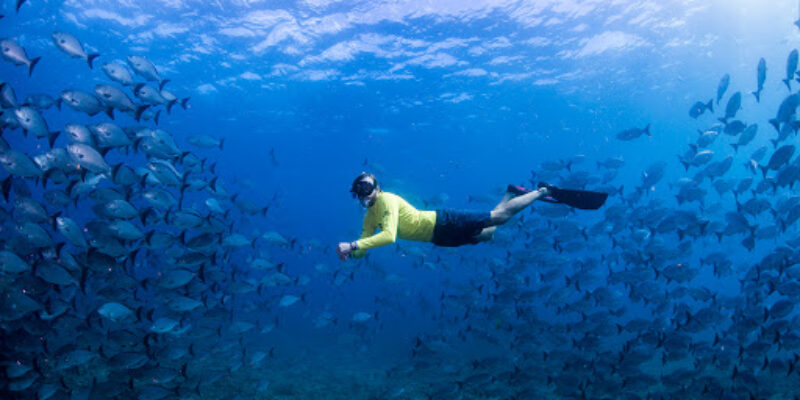 Ningaloo Reef Dive