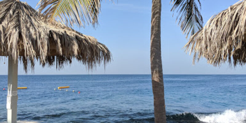Professional Zone Dive Resort