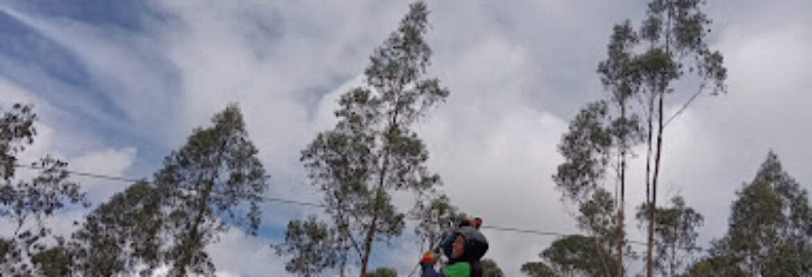 Cuenca Canopy