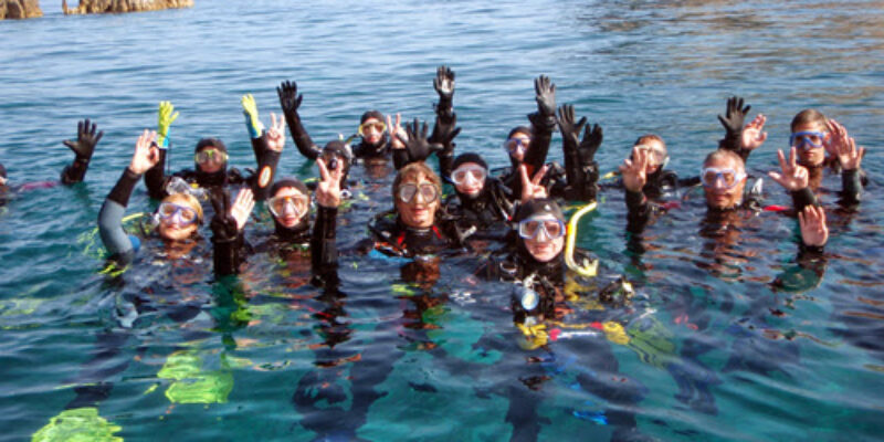 Dive City