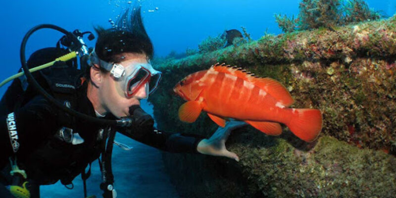 Sun Diving Ltd