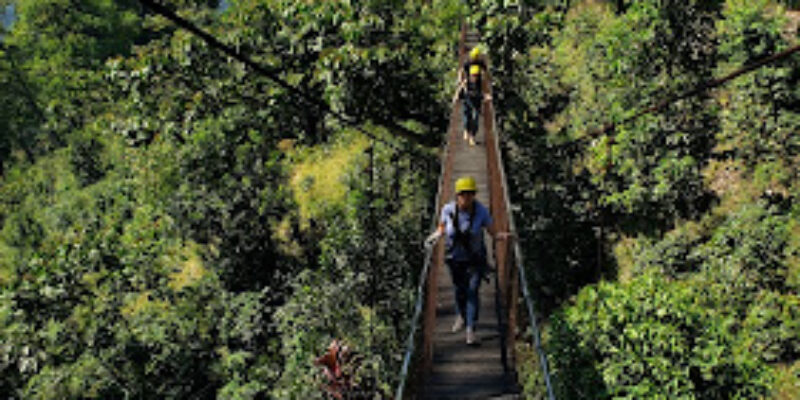 Vuelo Extremo – Canopy