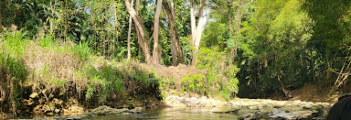 Chukka Jungle Expedition at Montpelier