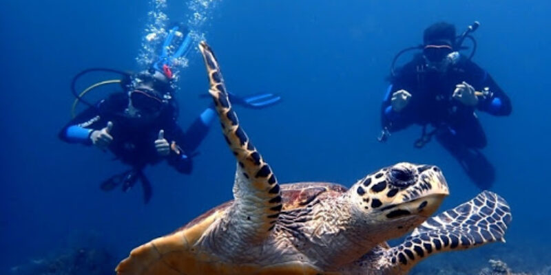 Intrinity Divers
