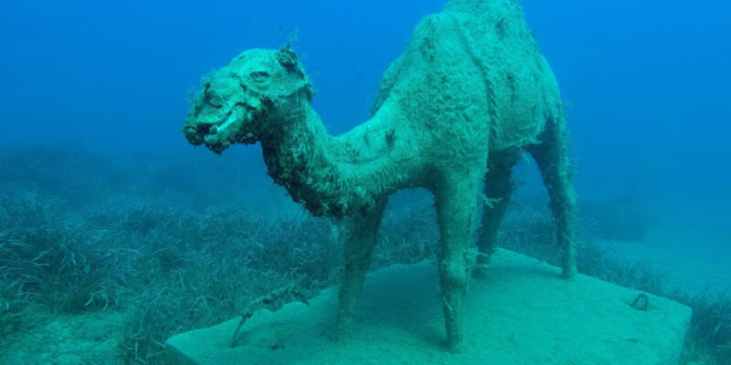 Scuba Side Diving Center