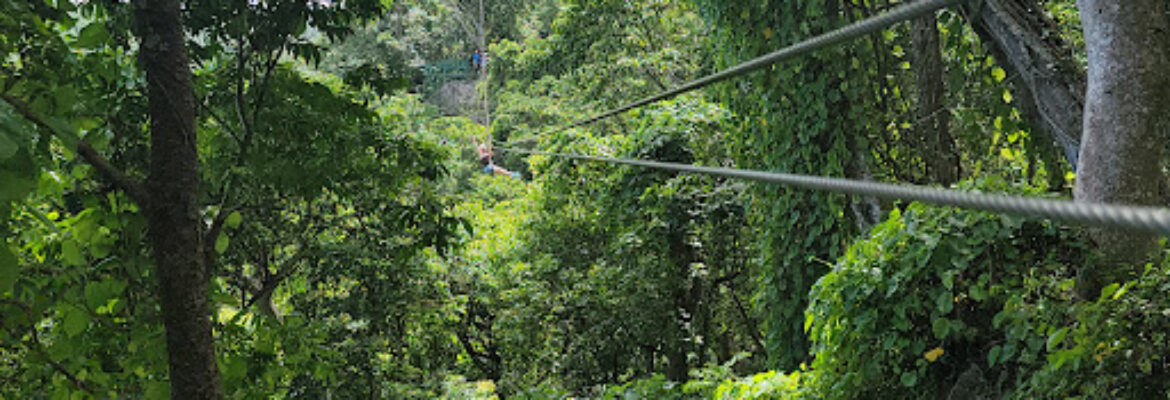 Zip Fiji Nadi
