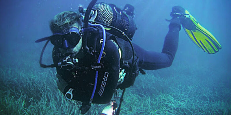 Dive & Dive