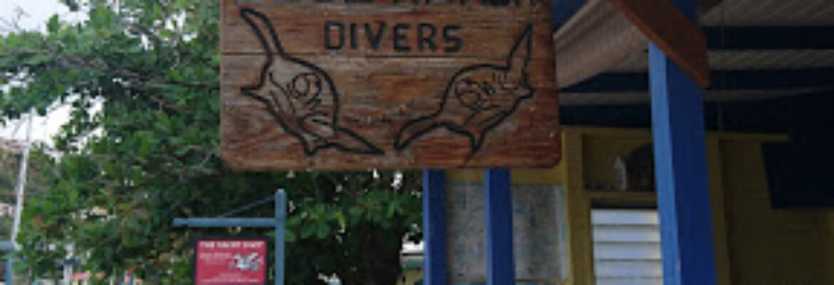 Blue Water Divers