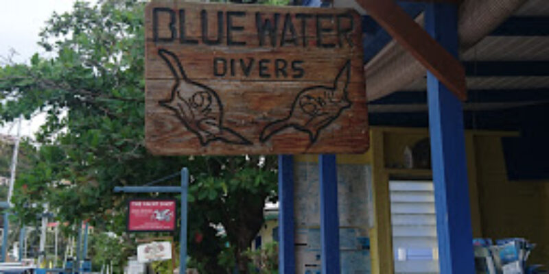 Blue Water Divers