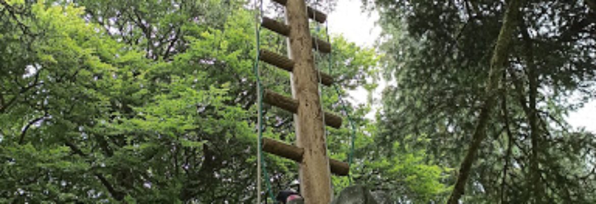 Zipit Forest Adventures