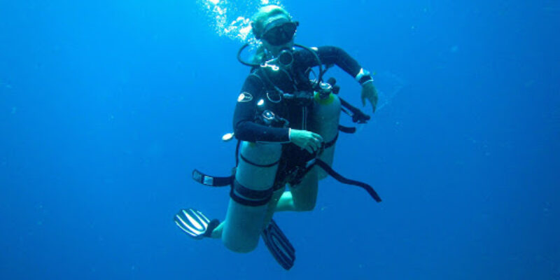 The Dive Academy