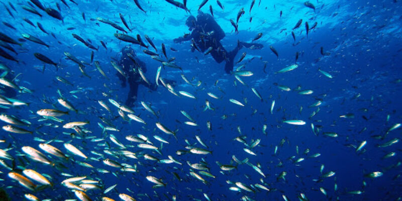 Planeta Azul