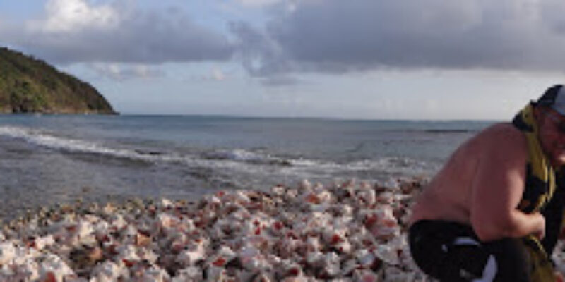 Canouan Scuba Center