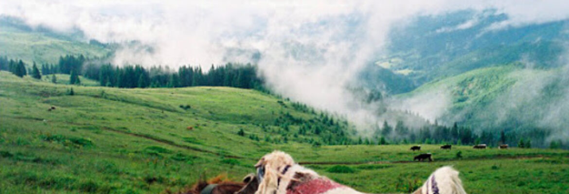 Green Ukraine