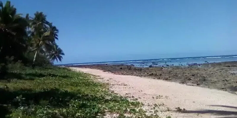 Reef Explorer