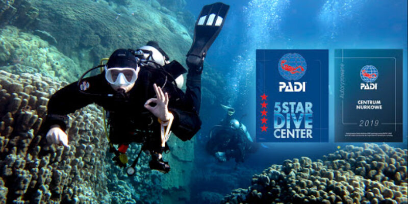 Dive Tours Szkola Nurkowania