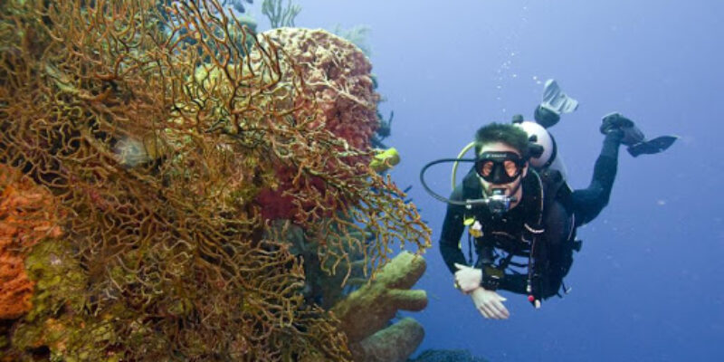 Gui Zhou Blue Dream Dive Center