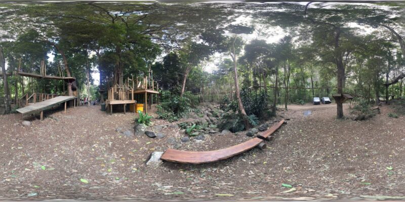 TreeTop Challenge Gold Coast – Australia’s Largest Adventure Park
